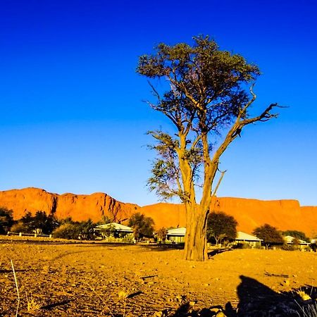 Namib Desert Campsite Solitaire Exterior foto