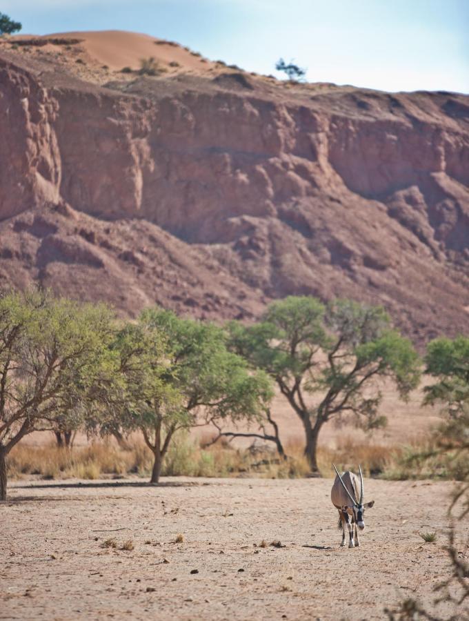 Namib Desert Campsite Solitaire Exterior foto