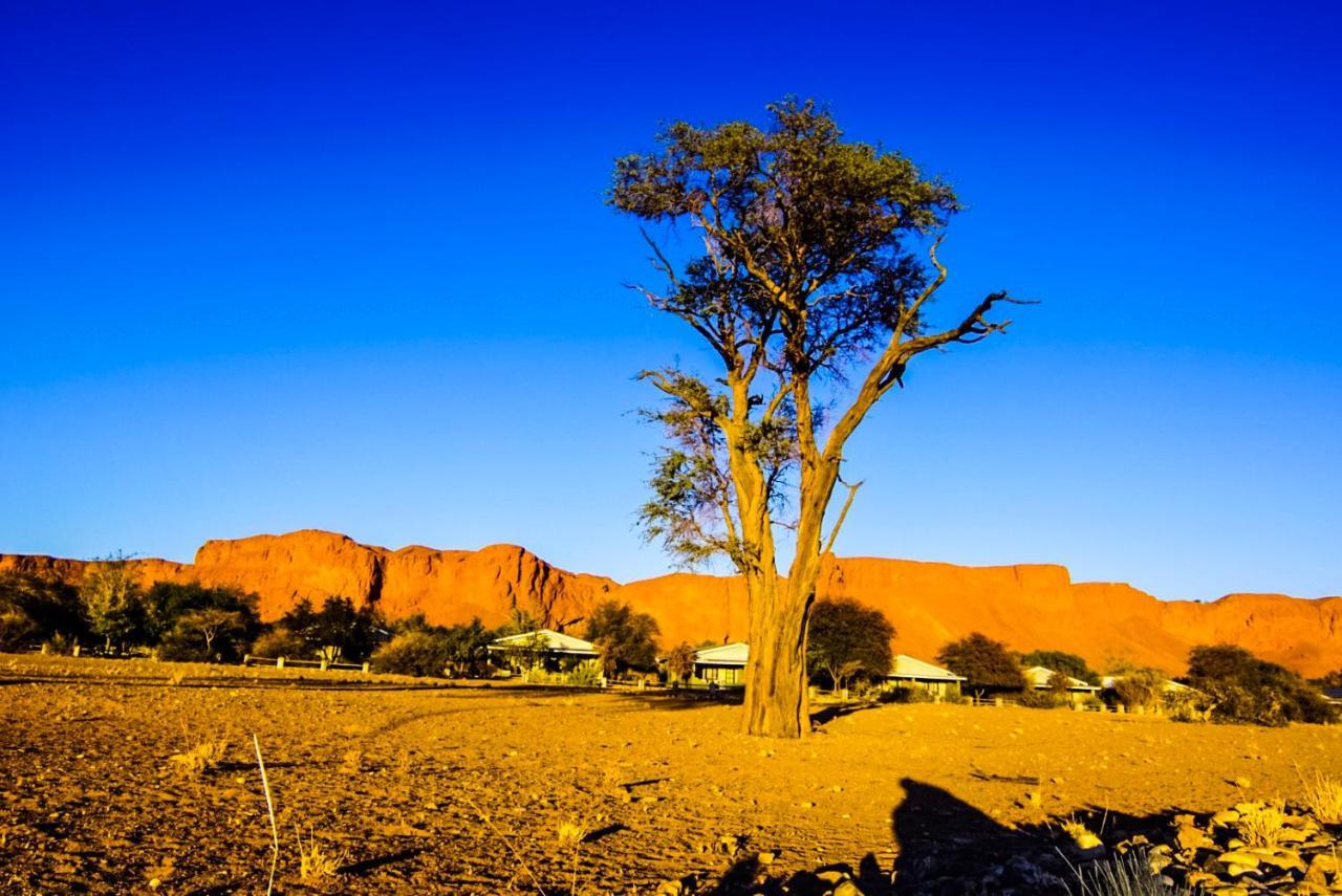 Namib Desert Campsite Solitaire Exterior foto